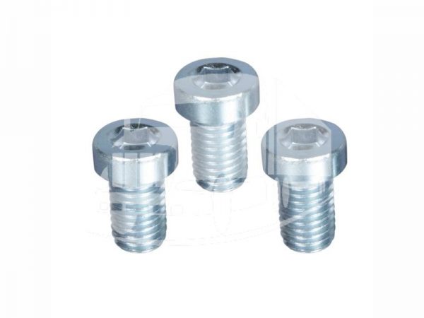 JOST SOCKET HEAD BOLT